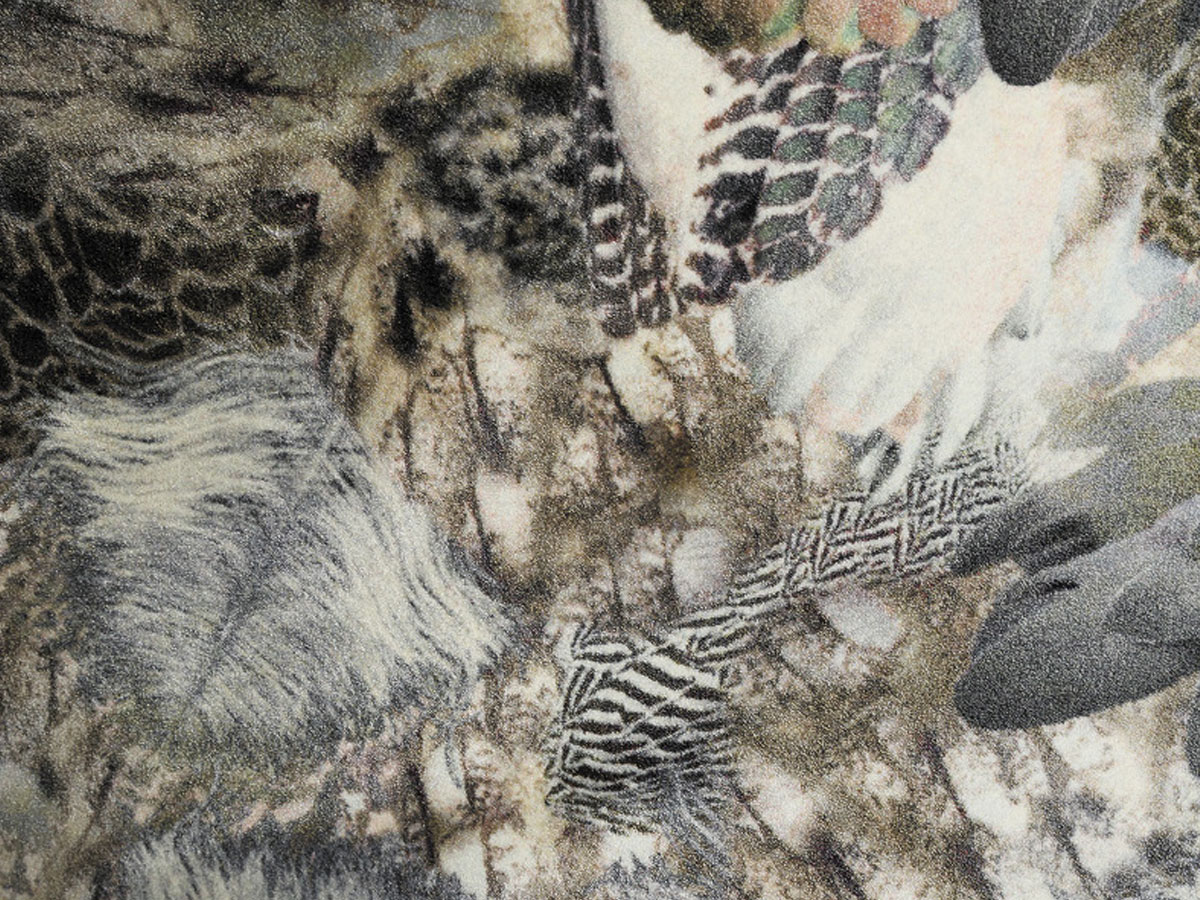 Moooi Carpets Dodo Pavone Rug Carpet