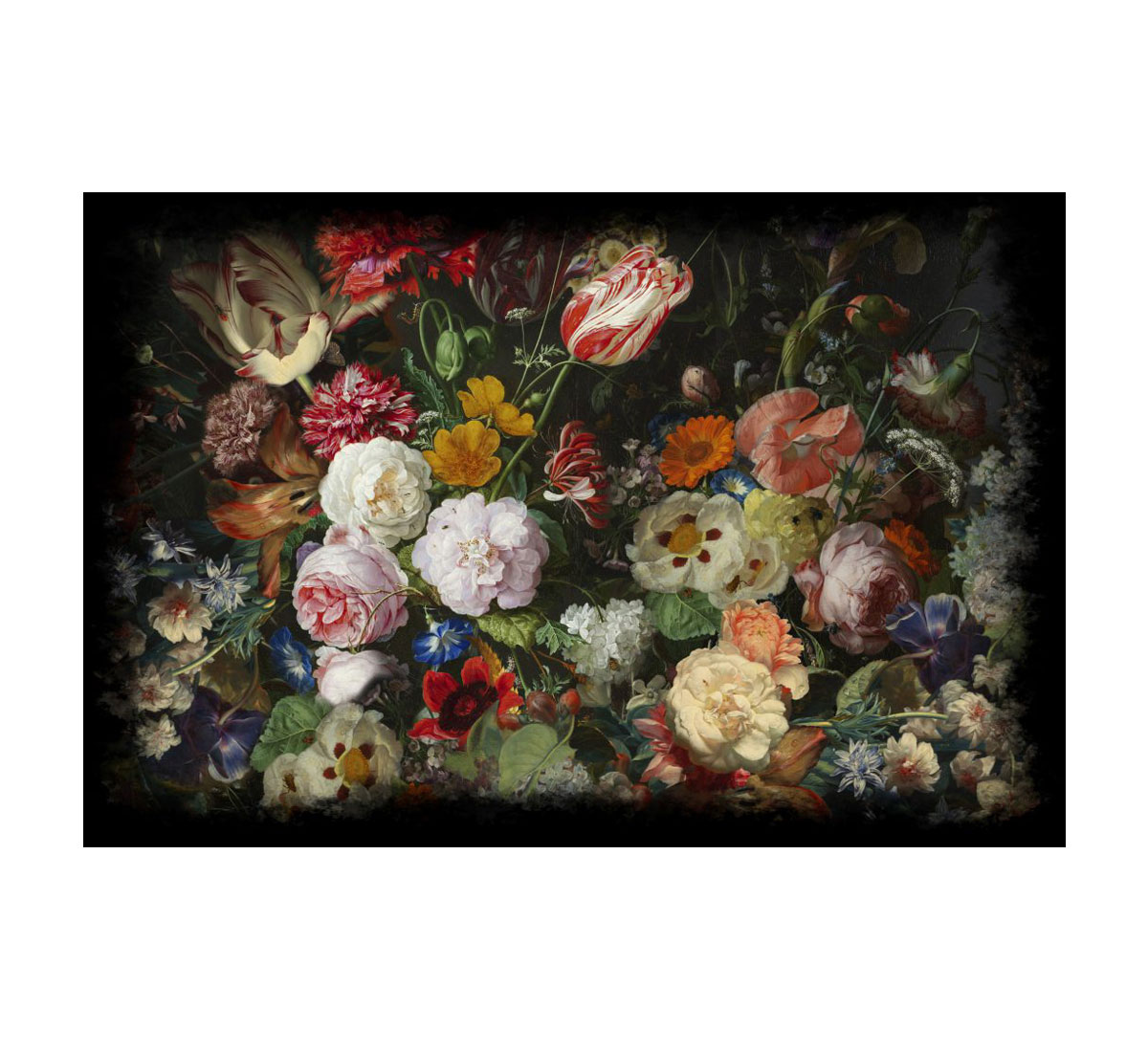 Moooi Carpets Eden Queen Rectangle Rug