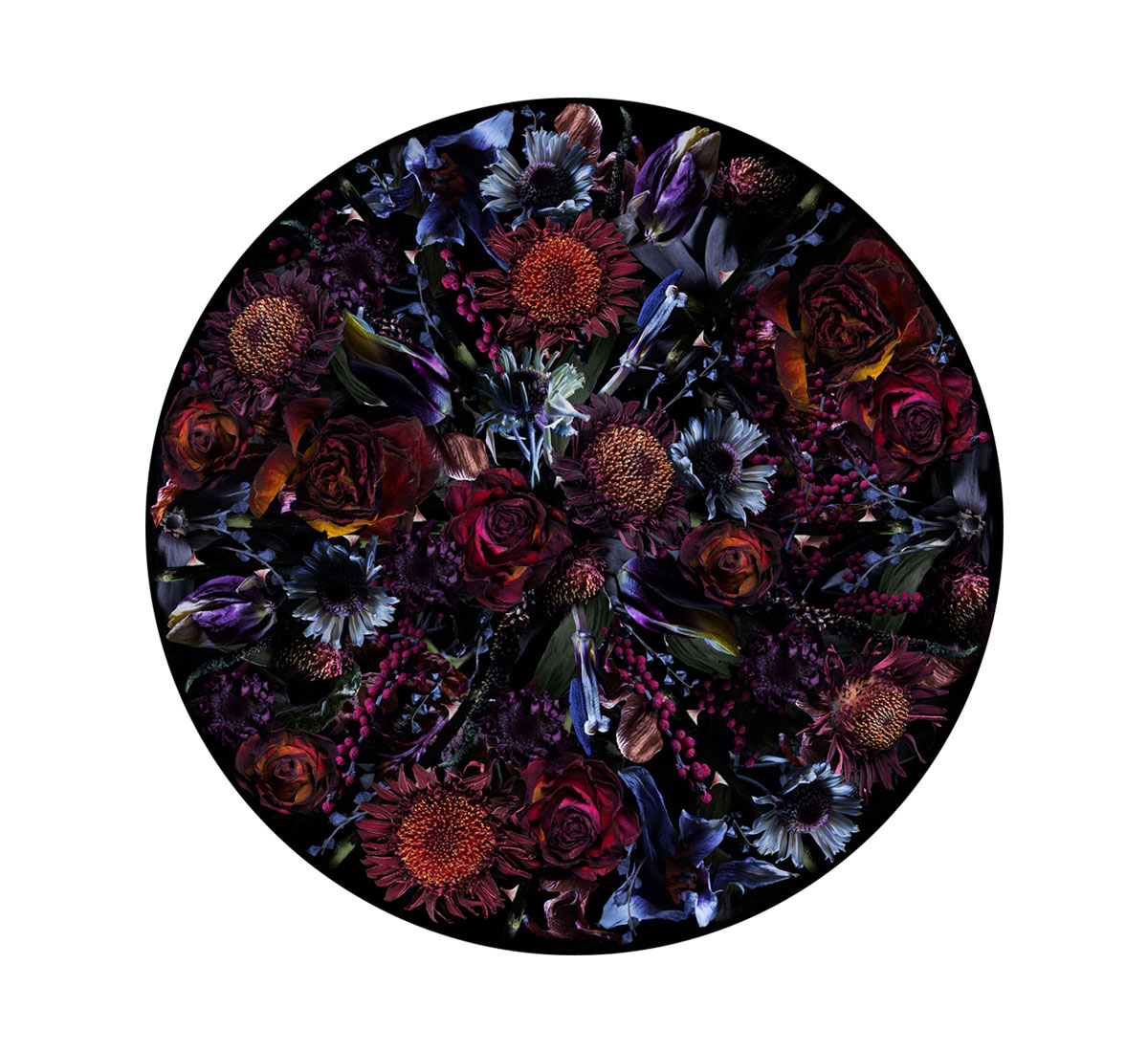 Moooi Carpets Fool S Paradise Rug