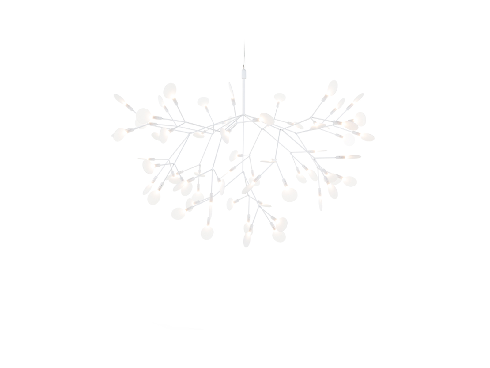 Moooi Heracleum Iii Suspension Lamp