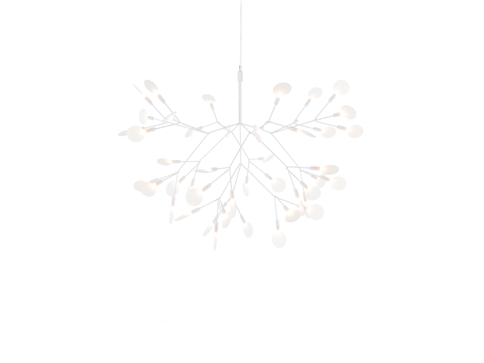 Moooi Heracleum Iii Suspension Lamp