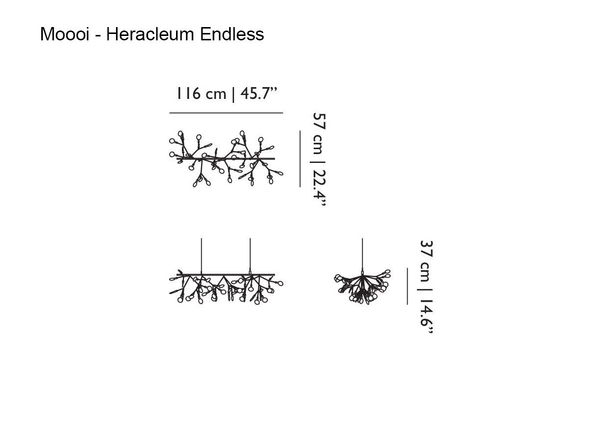 Moooi Heracleum Iii Endless Suspension Lamp