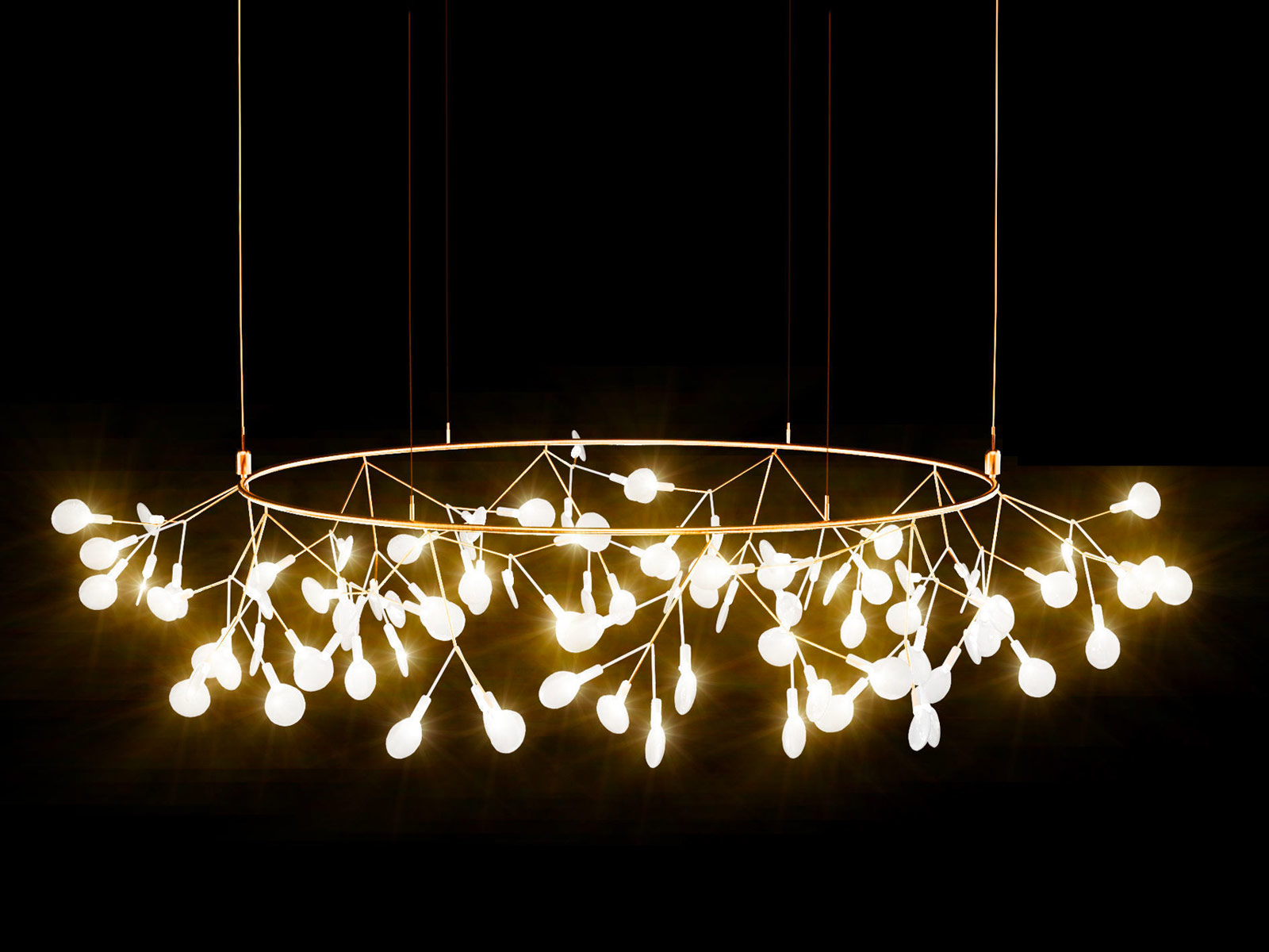 Moooi Heracleum The Small Big O Suspension Lamp