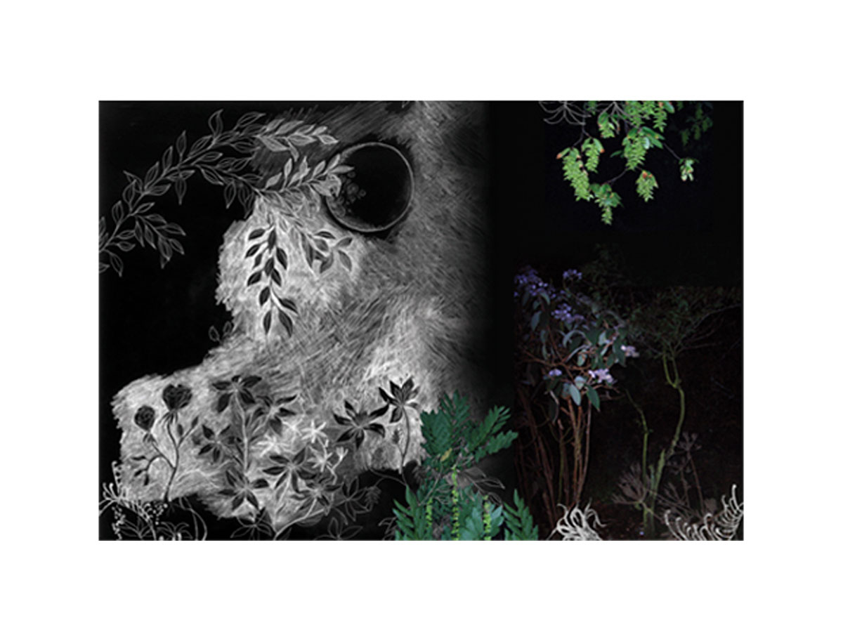 Moroso Tapestry Collection