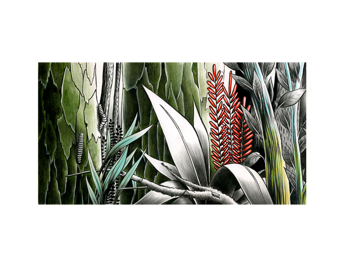 Moroso Tapestry Collection