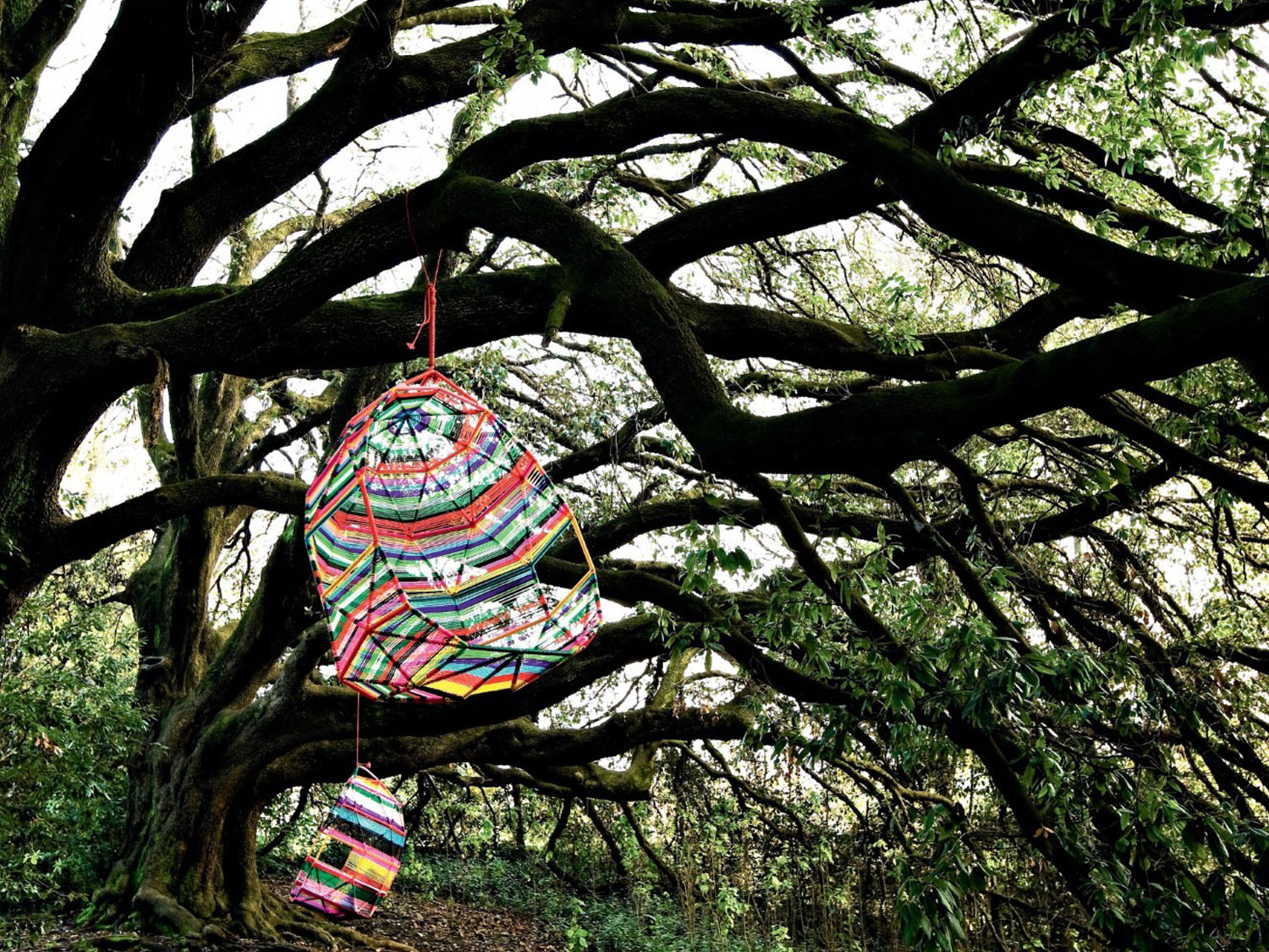 Moroso Tropicalia Cocoon