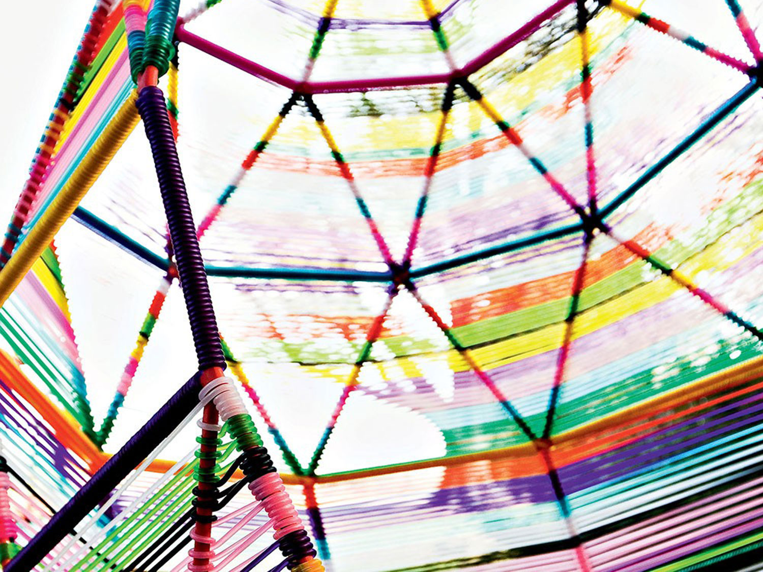 Moroso Tropicalia Cocoon