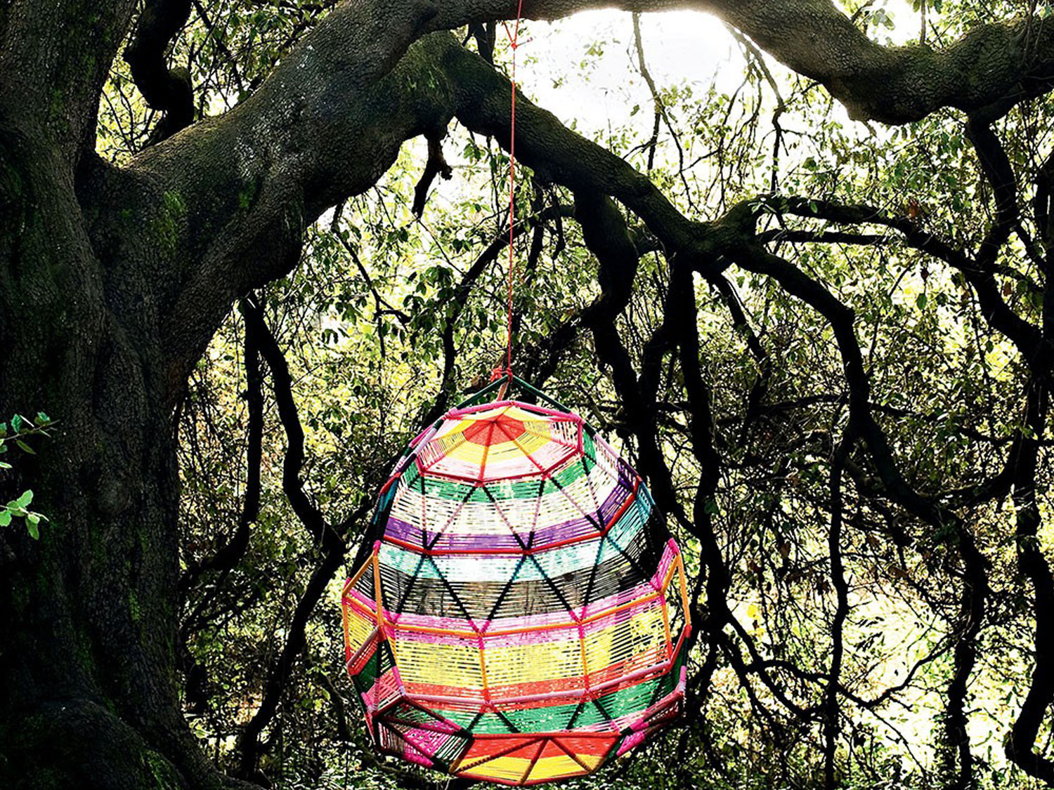 Moroso Tropicalia Cocoon