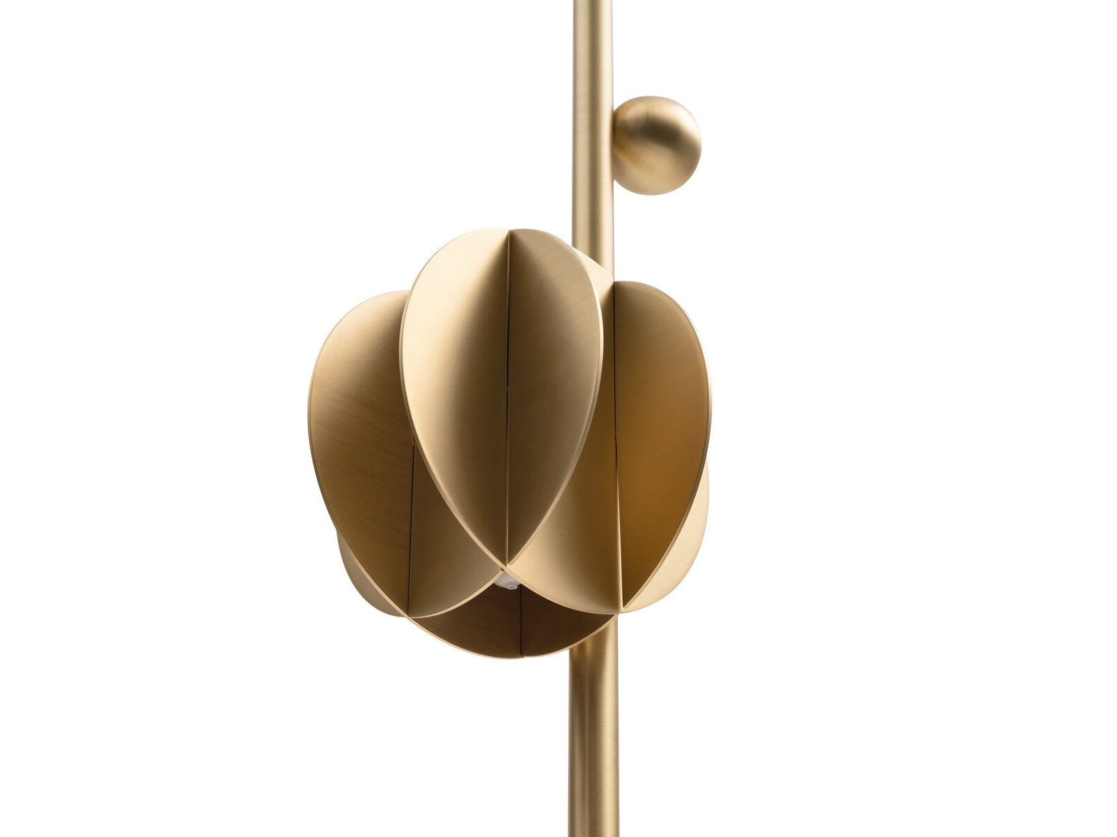 Noom El Floor Lamp Cs1