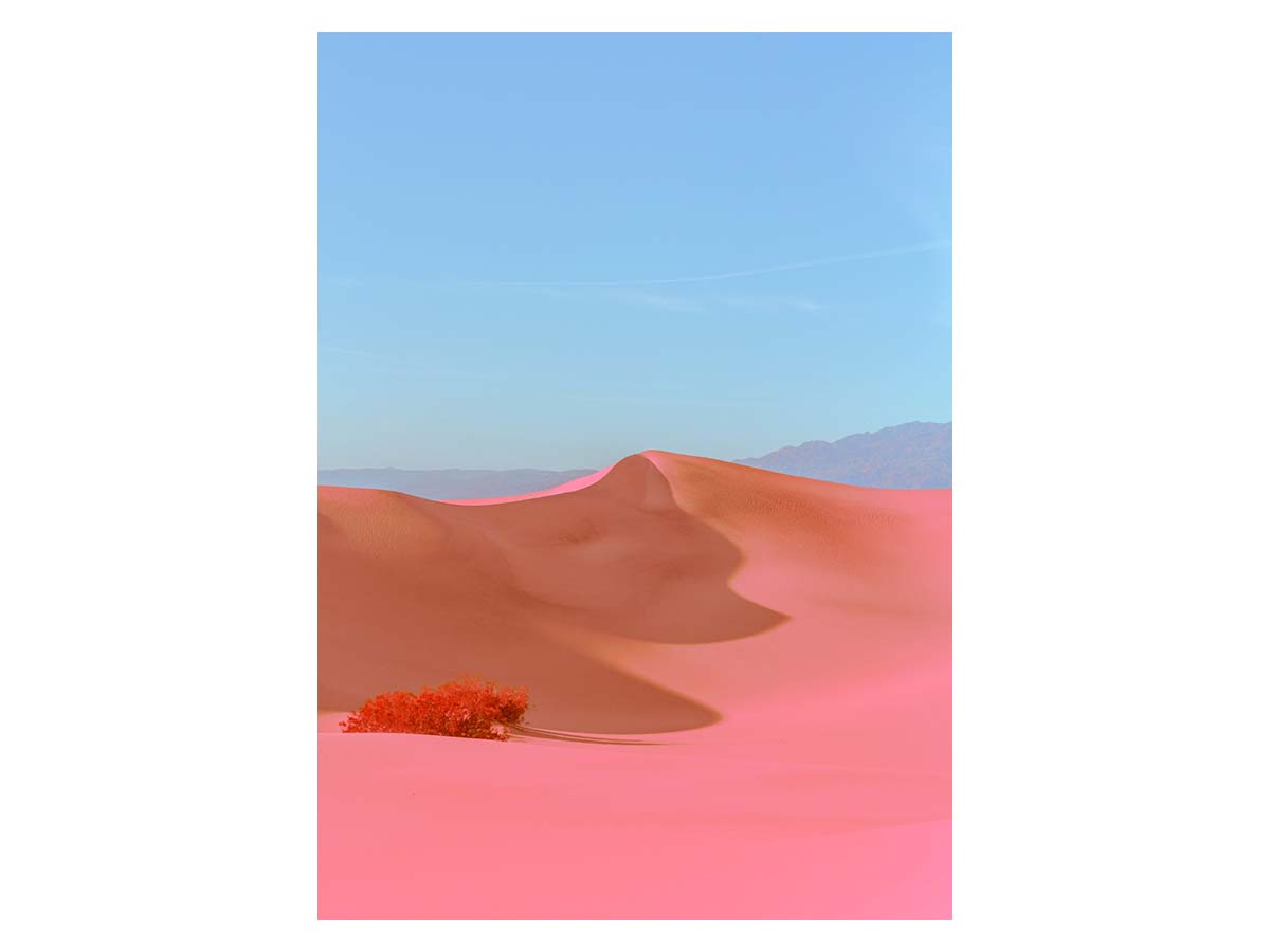 Постер Paper Collective Dunes II