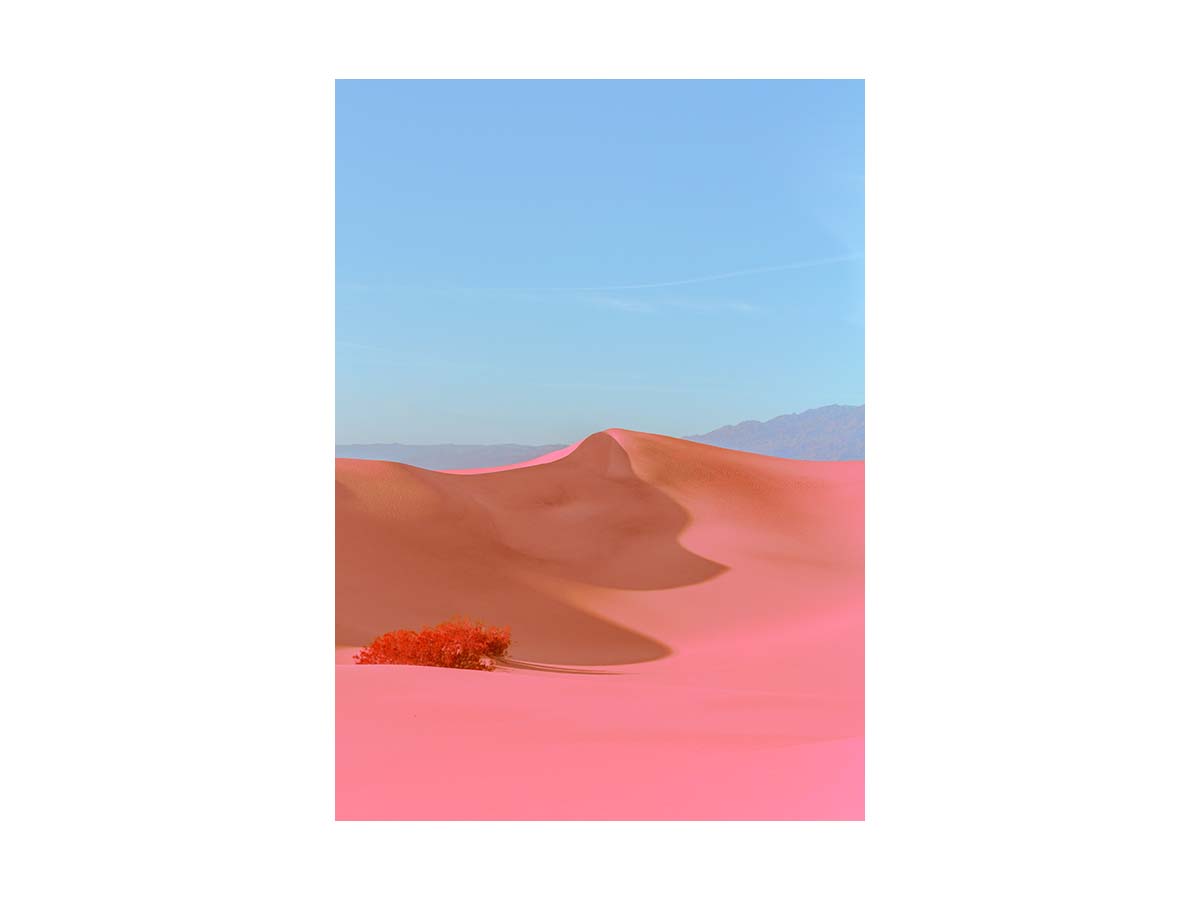 Постер Paper Collective Dunes II
