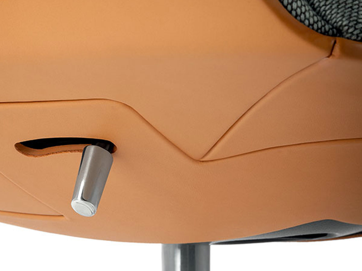 Poltrona Frau Cercle Office Chair