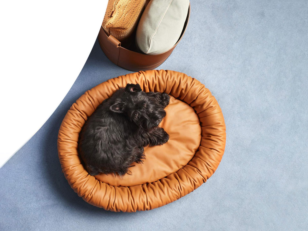 Poltrona Frau Pet Collection Dog Bed Medium
