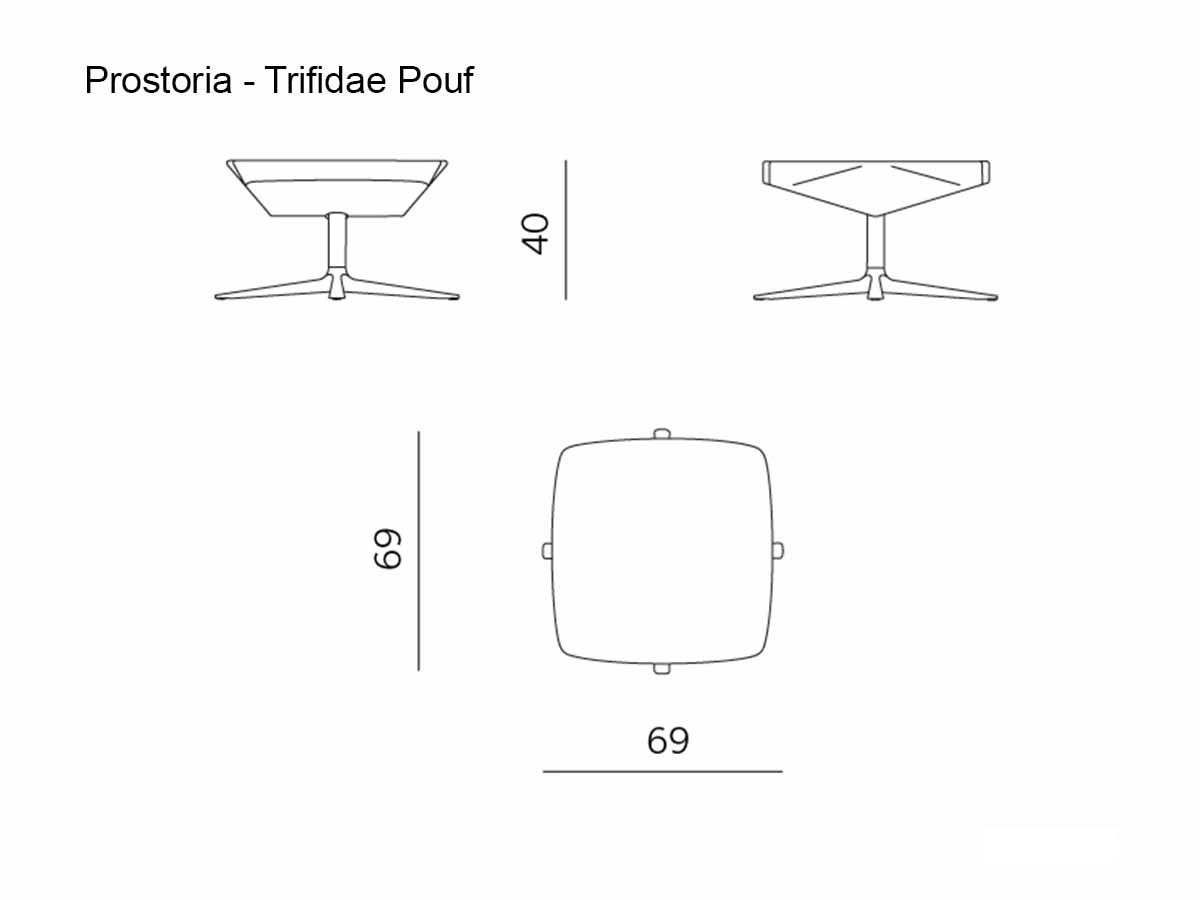 Prostoria Trifidae Pouf