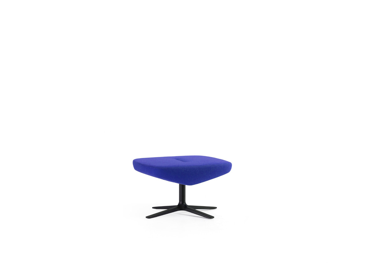 Prostoria Trifidae Pouf