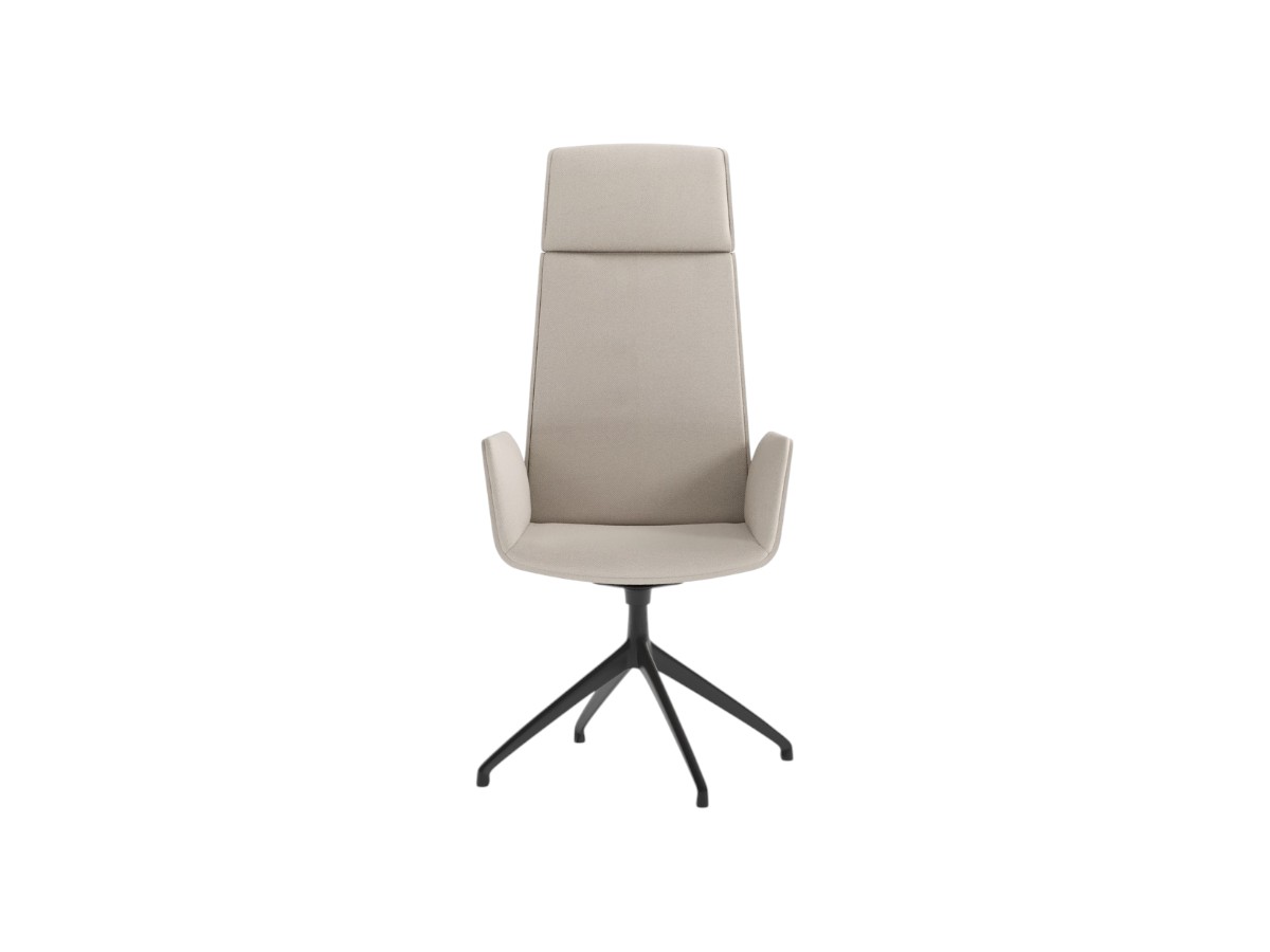 Punt Mobles Hug Executive Swivel Chair High Back With 4 Spoke Base