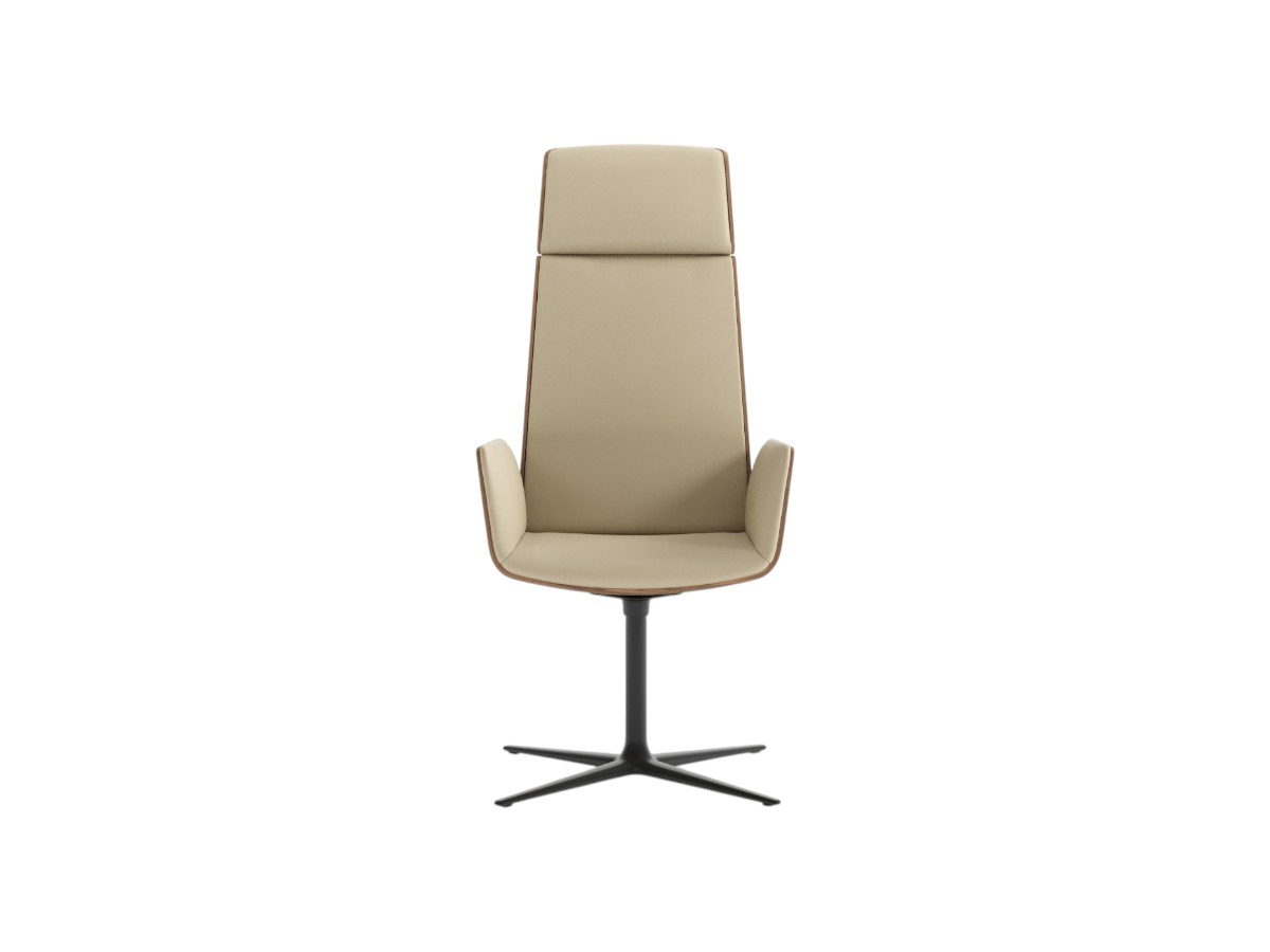Punt Mobles Hug Executive Swivel Chair High Back With Star Base