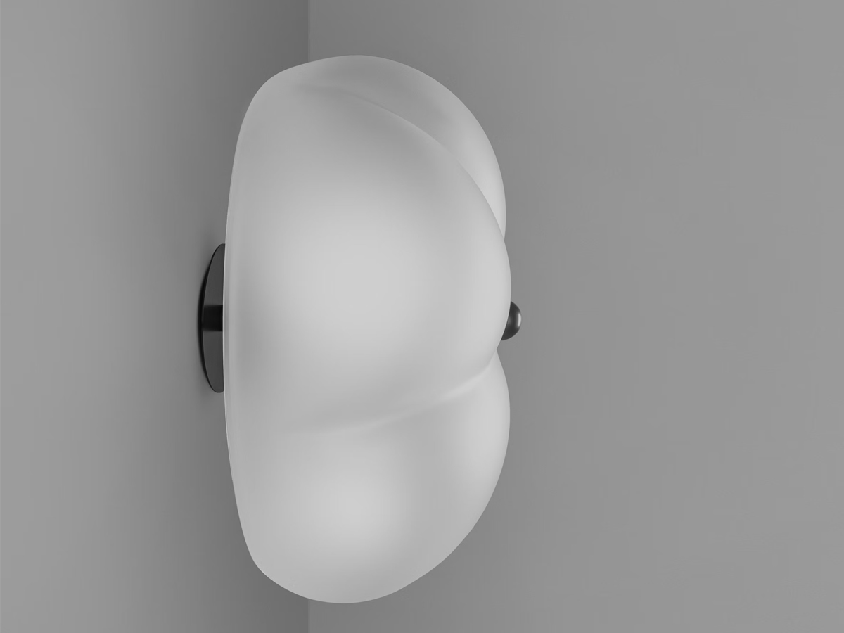 Schwung Hana Wall Ceiling Lamp
