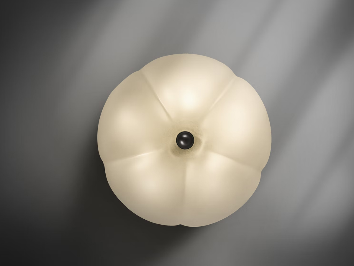 Schwung Hana Wall Ceiling Lamp