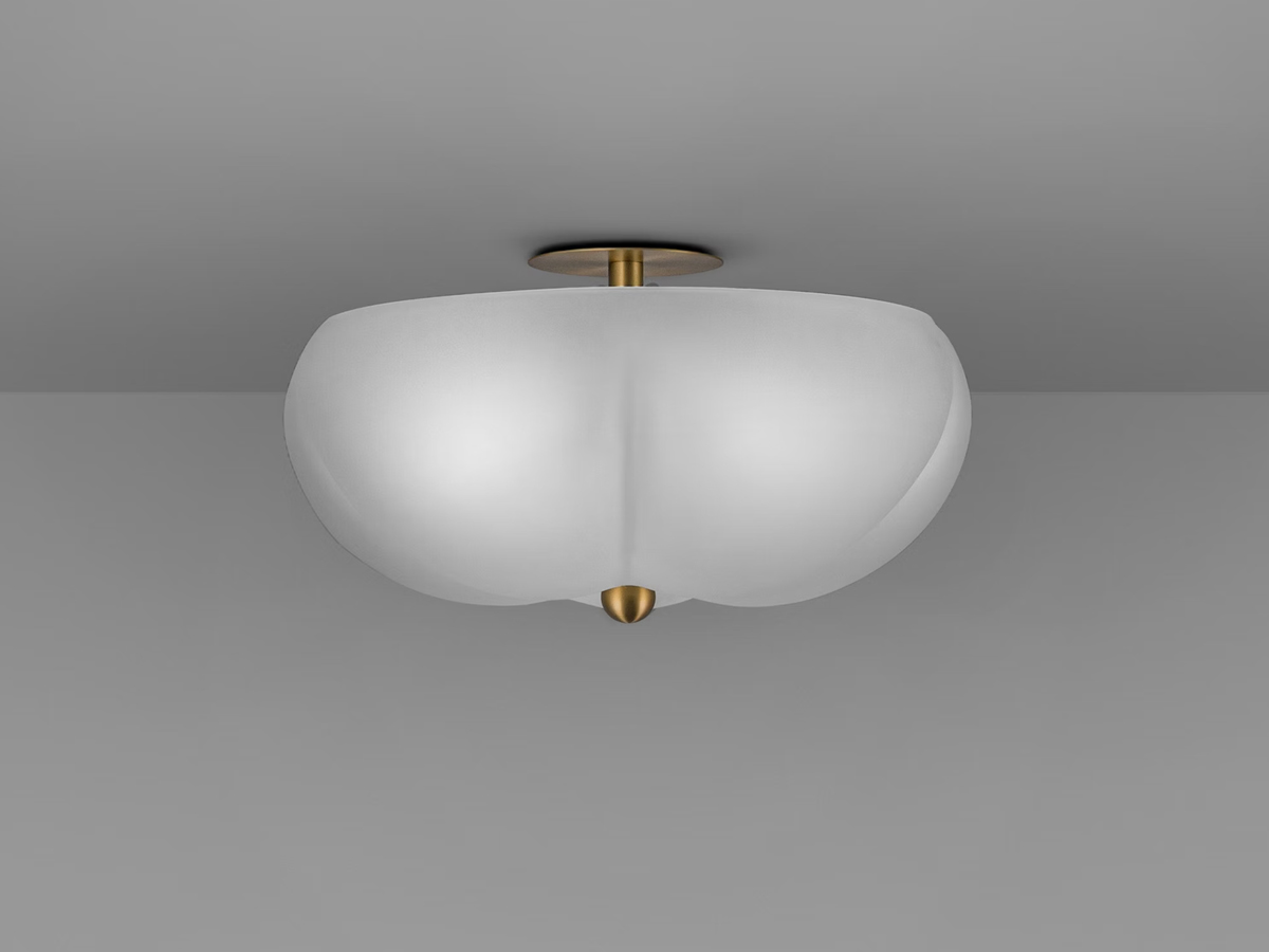 Schwung Hana Wall Ceiling Lamp