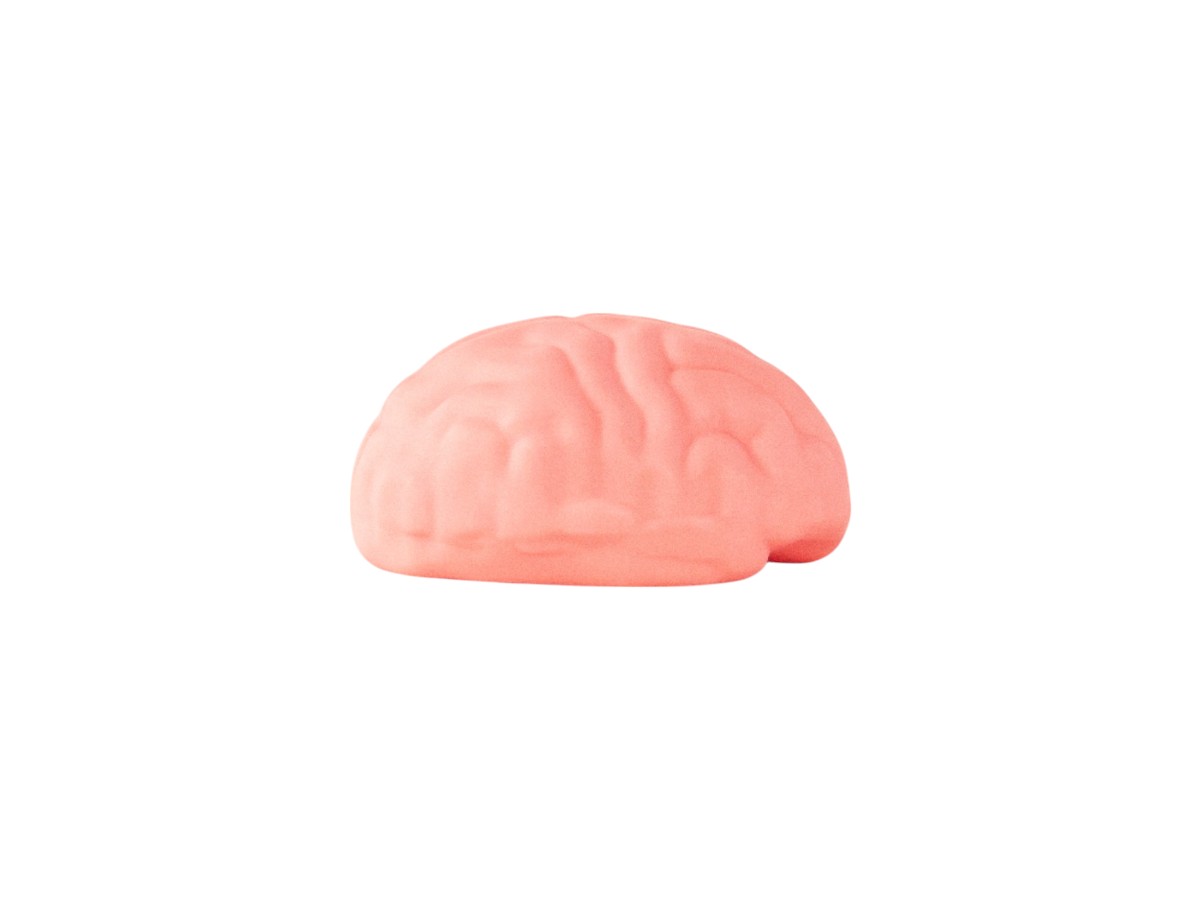 Seletti Brain Wash
