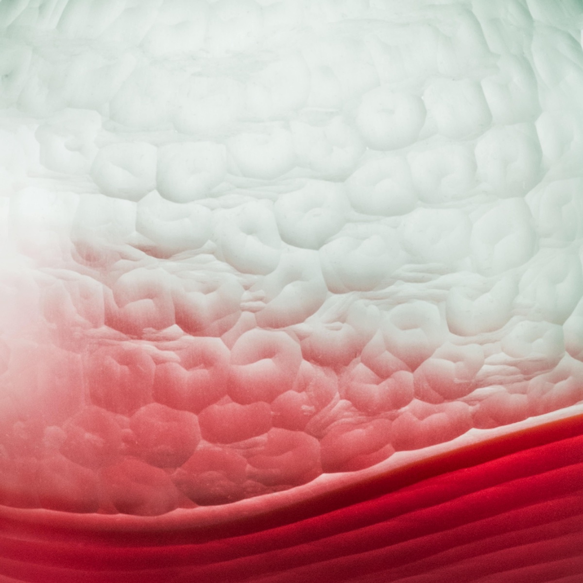 Venini Battuto Bicolore Rosso E Verde Vase