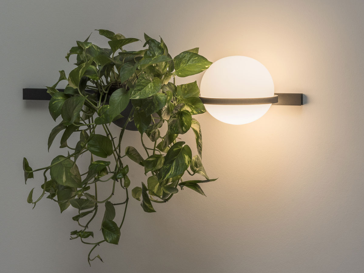 Vibia Palma 3702 Wall Lamp