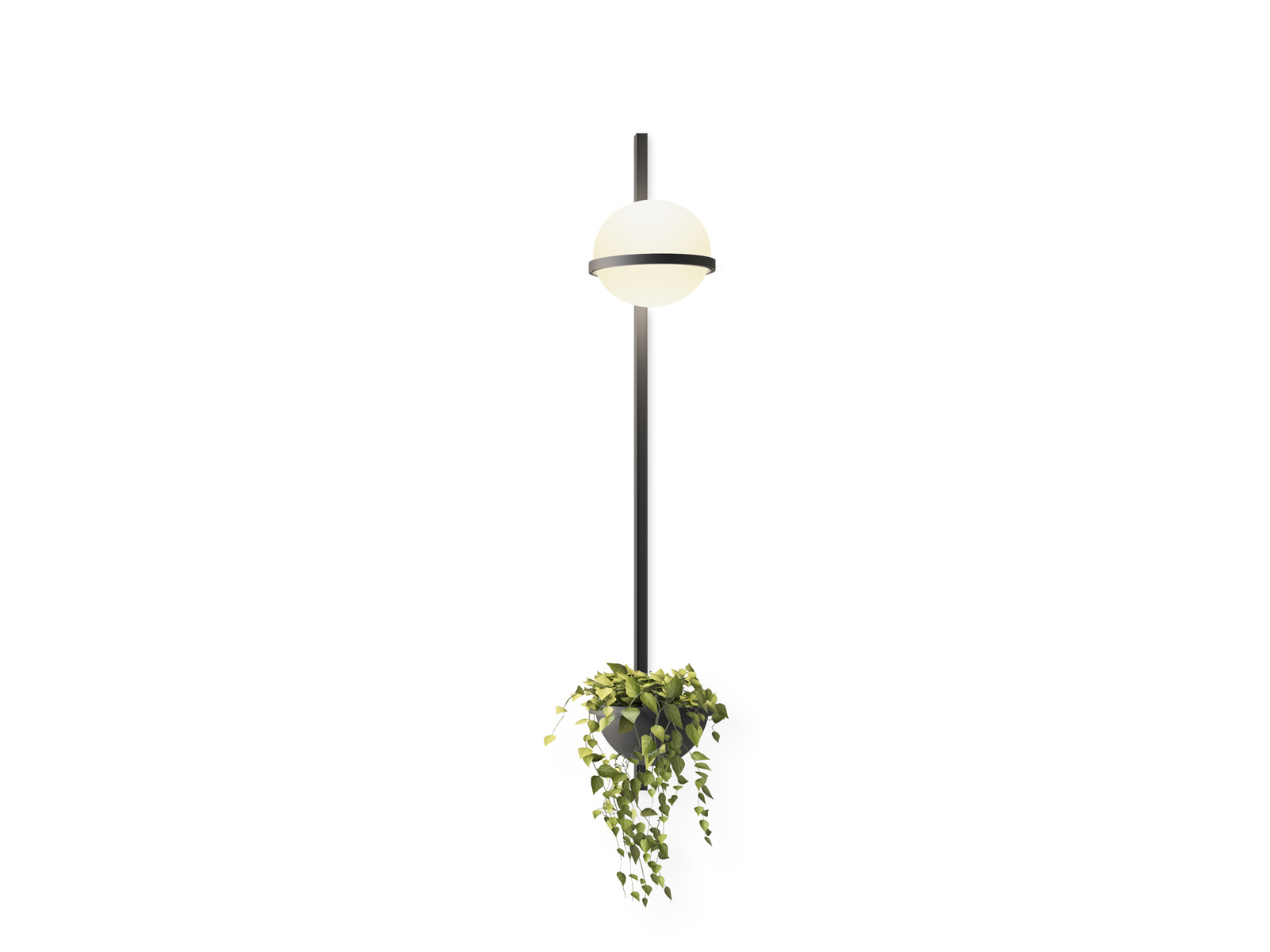 Vibia Palma 3714 Wall Lamp