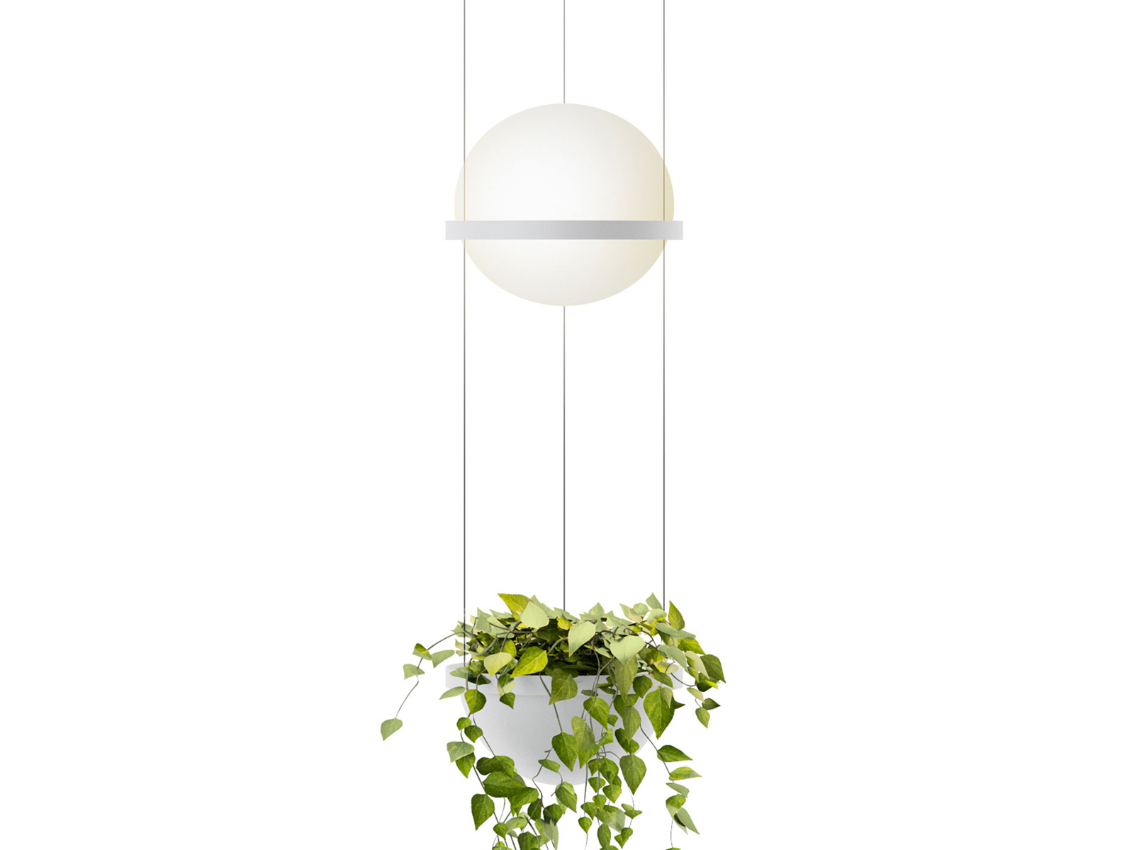 Vibia Palma 3714 Wall Lamp