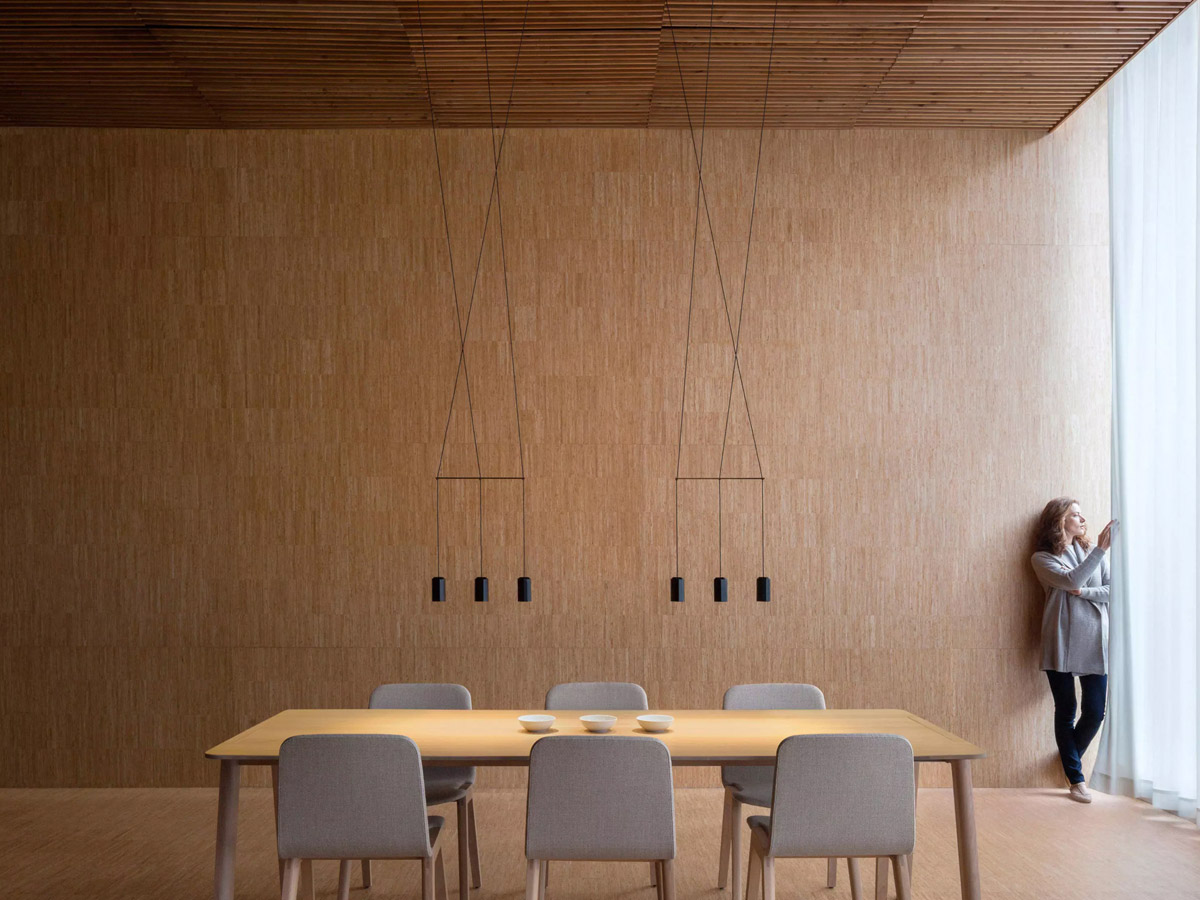 Vibia Wireflow Suspension Lamp